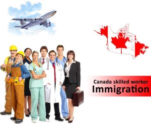 Reliable Canada Immigration Consultants