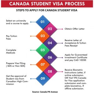 canada visa process