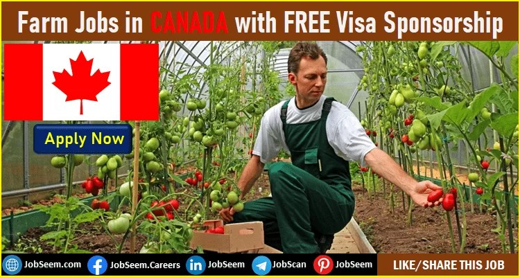 Jobs In Canada For Foreigners With Visa Sponsorship 2022